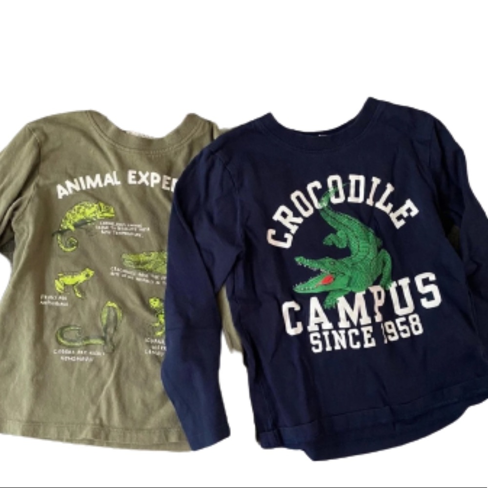 H&M Animal Long Sleeve T shirts